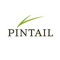logo-pintail