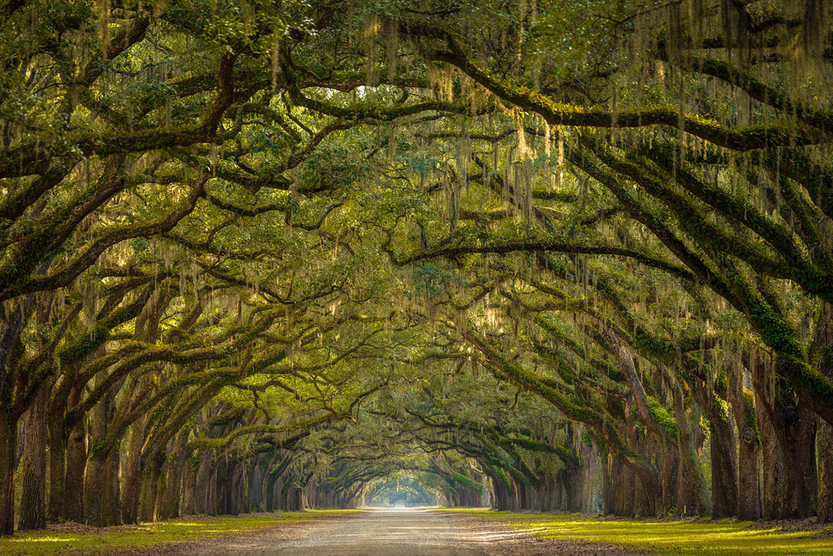 pathway